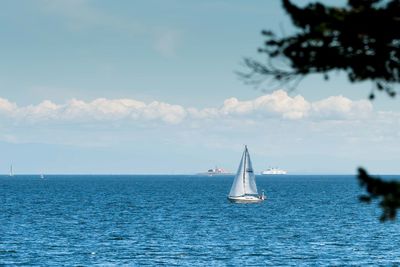 Sailboat sailing on sea against sky