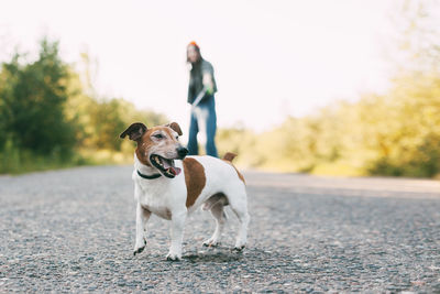 Modern teen girl walking with her dog in nature. pet, care, friendship. blurred background,