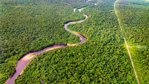 High angle view of green field