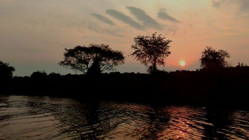 Silhouette trees by calm lake against sky during sunset