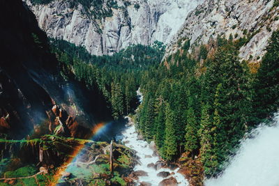 High angle view of stream flowing amidst trees in forest 