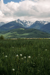 Scenic view of green landscape and mountains against sky