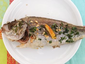 High angle view of fish in plate on table