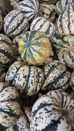 Full frame shot of squash at market for sale