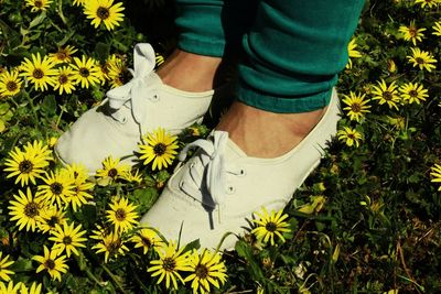 Low section of man standing by flowers