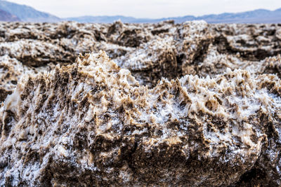 Close-up of rocks on beach