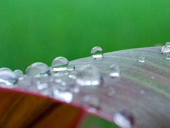 Close-up of water drops on table