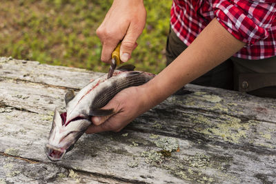 Woman preparing fish after fishing