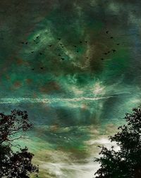 Low angle view of tree against sky