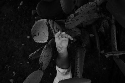 Close-up of hand holding ice cream cone