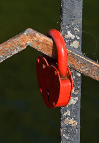 Close-up of red object