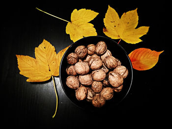 High angle view of autumn leaves on table
