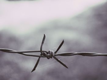 fence