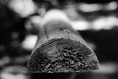 Close-up of old wood