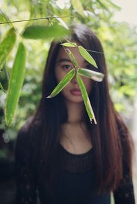 Close-up of plant against blurred background