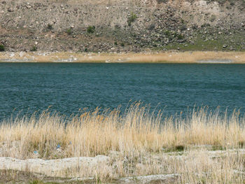 Scenic view of lake