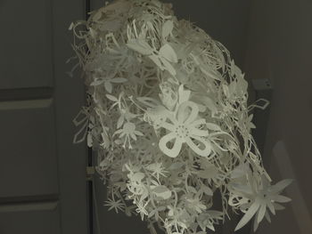 Close-up of white roses hanging on plant at home