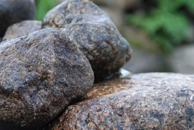 Close-up of rocks