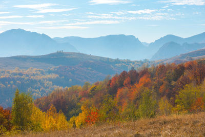 Autumn landscape with colorful trees. fall in the carpathains, romania