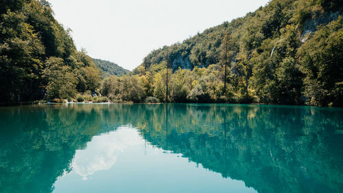 Scenic view of lake by trees against clear sky