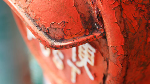 Close-up of rusty metal