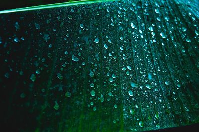 Full frame shot of raindrops on water