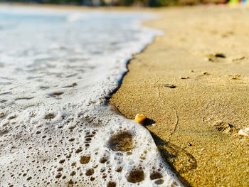 Close-up of footprints on sand at beach