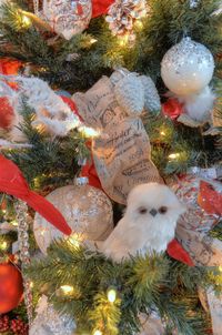 Close-up of christmas tree