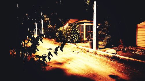 Illuminated street by trees and buildings at night