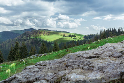 Scenic view of landscape against sky