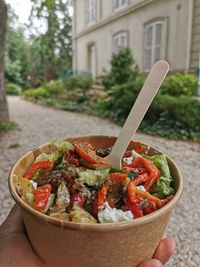 Close-up of vegetables in bowl on table
