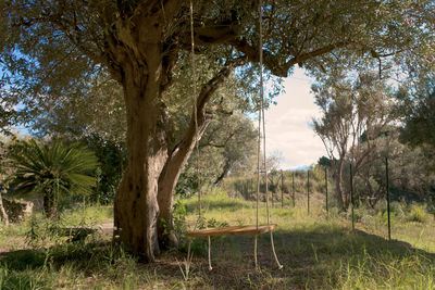 Trees on field against sky