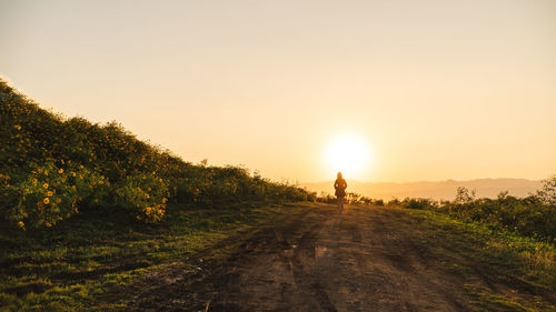 Scenic view of sunset against sky