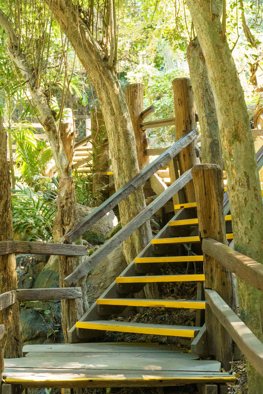 tree, plant, railing, nature, wood, staircase, architecture, no people, day, forest, built structure, steps and staircases, land, outdoors, tree trunk, stairs, trunk, tranquility, growth, beauty in nature, bridge, park