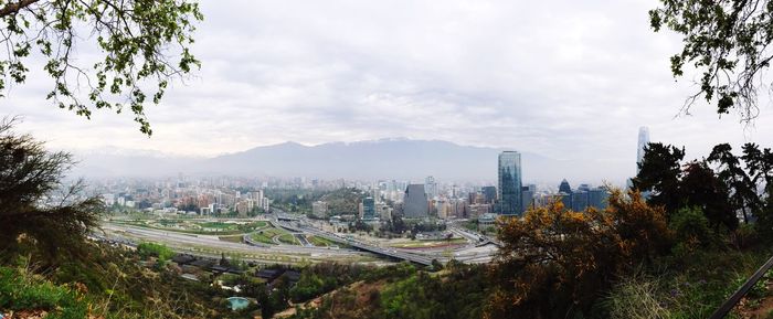 High angle view of trees and buildings in city