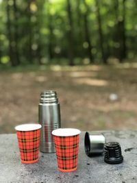 Close-up of wine glasses on land