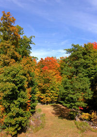 Footpath amidst trees against sky during autumn