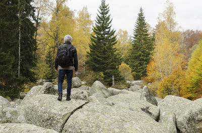 Rear view of man walking on rocks in forest