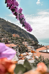 Scenic view of pink and buildings against sky