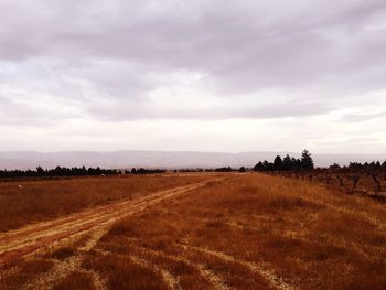 Scenic view of field against cloudy sky