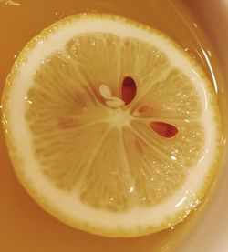 Directly above shot of lemon in glass