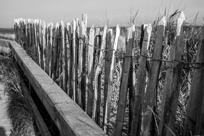 Close-up of wood against sky