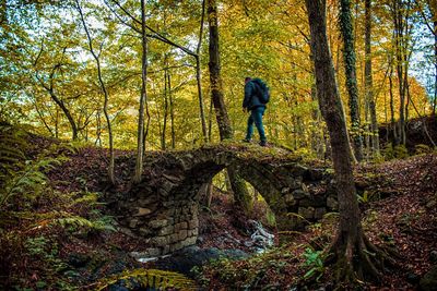 Man standing on tree trunk in forest