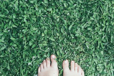 Low section of woman feet on grass