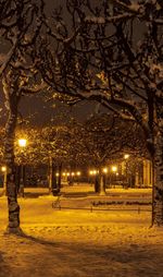 Illuminated street lights in city at night