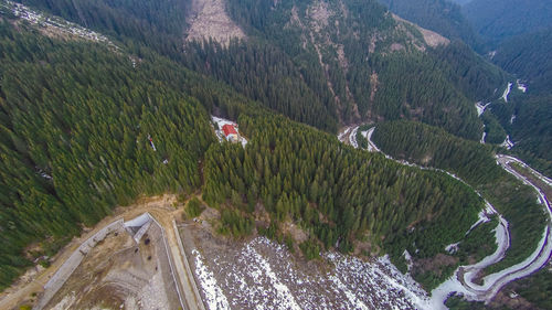 High angle view of road amidst trees