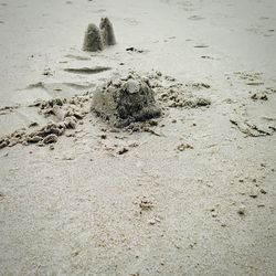 View of beach