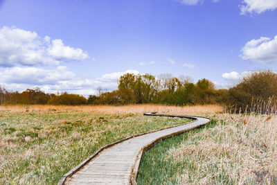 Winding path across marshland
