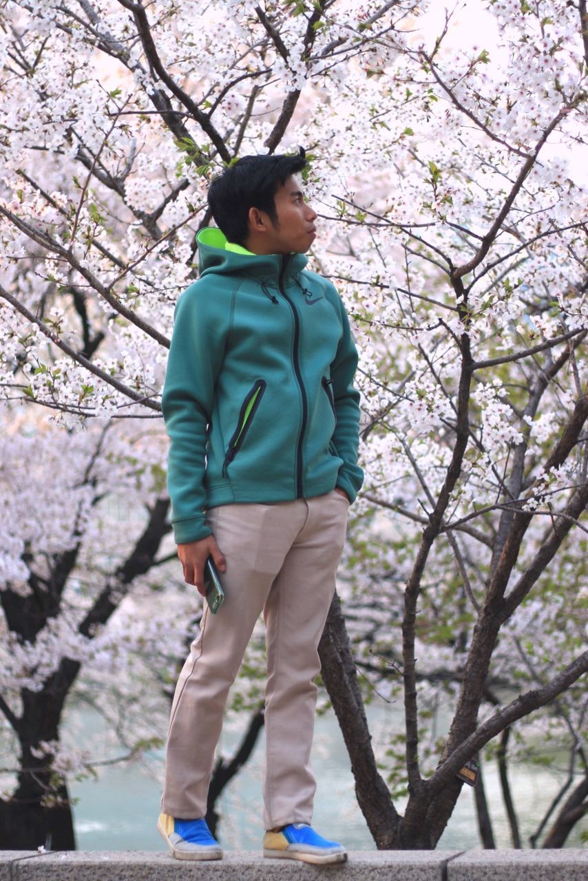 FULL LENGTH OF MAN STANDING IN CHERRY BLOSSOM