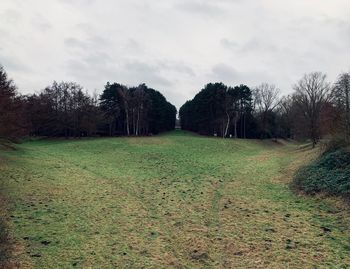 Trees on field against sky